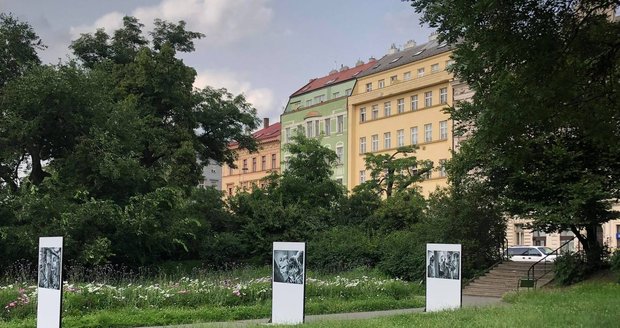 Reportážní fotografie z VFN jsou k vidění na Karlově náměstí