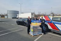 Pomoc míří i k rodícím ženám: Ukrajinu vykrvácet nenecháme, zní z porodnice U Apolináře