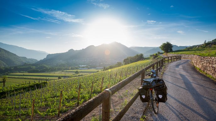 Pohodová cesta podél vinic nedaleko italského Trenta.