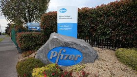 Výrobní továrna Pfizer pro lék viagra