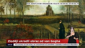 Zloději ukradli obraz van Gogha: Policie po nich pátrá!