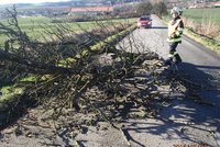 Hasiči na jižní Moravě se nezastavili. Vichr kácel stromy jako kuželky, větve ohrožovaly šoféry