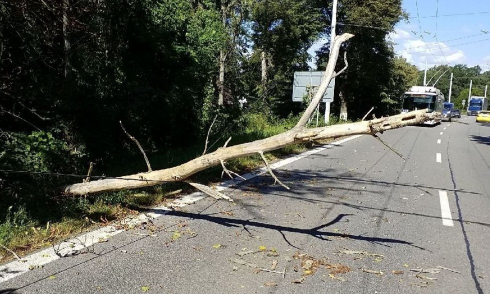 Následky po vichru v Česku (26.8.2020)