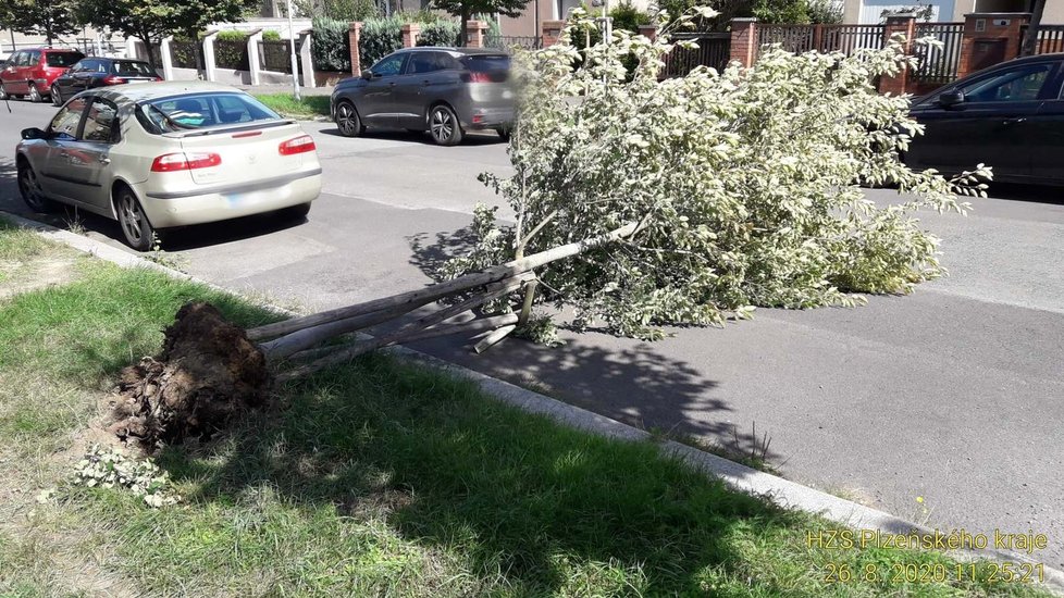 Následky po vichru v Česku (26.8.2020)