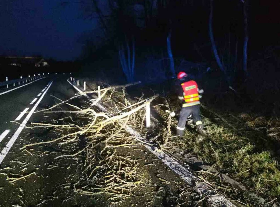 Popadané stromy v Jihomoravském kraji kvůli silnému vichru (11.3.2023)