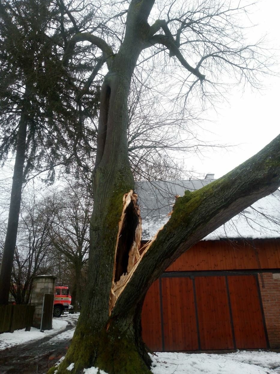V Libošovicích na Jičínsku spadl kvůli vichru strom na stodolu (24.12.2023)