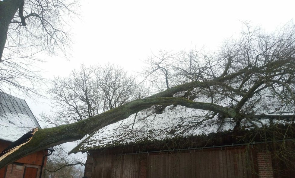 V Libošovicích na Jičínsku spadl kvůli vichru strom na stodolu (24.12.2023)
