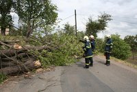 Jižní Čechy: vichr "pokácel" 20 stromů!