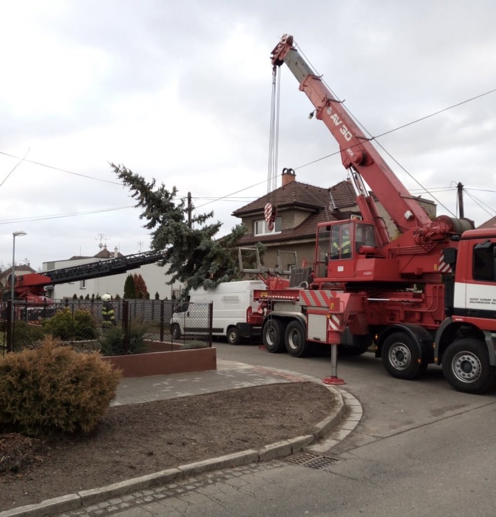 Vichřice v Česku: V Hradci Králové zasahovali hasiči u stromu spadlého na auto a elektrické vedení (30. 1. 2022)