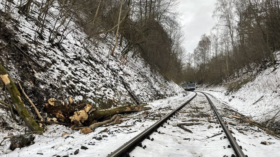 Vichřice v Česku: U Vysokova v Královéhradeckém kraji narazil vlak do spadlého stromu (30. 1. 2022).