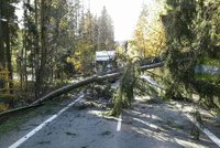 Hasiči na jižní Moravě se nezastavili: 200 výjezdů kvůli silnému větru