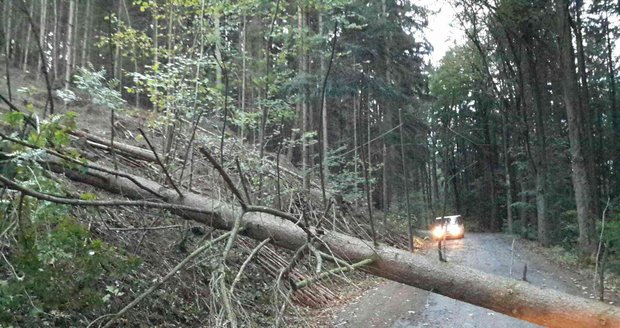 Do pondělního rána likvidovali hasiči na jižní Moravě následky noční vichřice na 60 místech. Vesměs se jednalo o popadané stromy a uvolněné plechy na střechách.