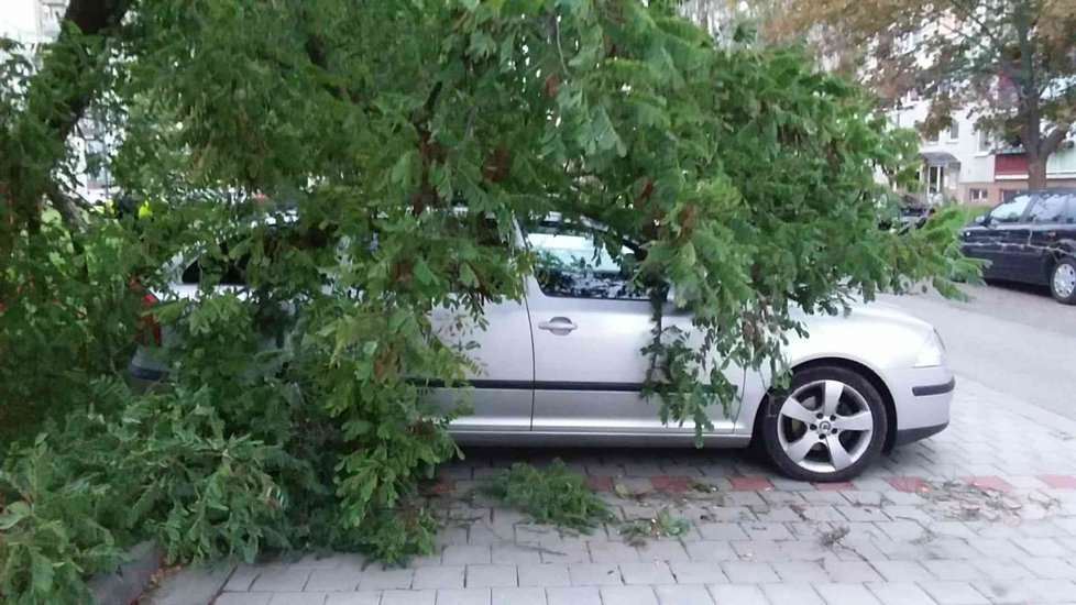 Do pondělního rána likvidovali hasiči na jižní Moravy následky noční vichřice na 60 místech. Vesměs se jednalo o popadané stromy a uvolněné plechy na střechách