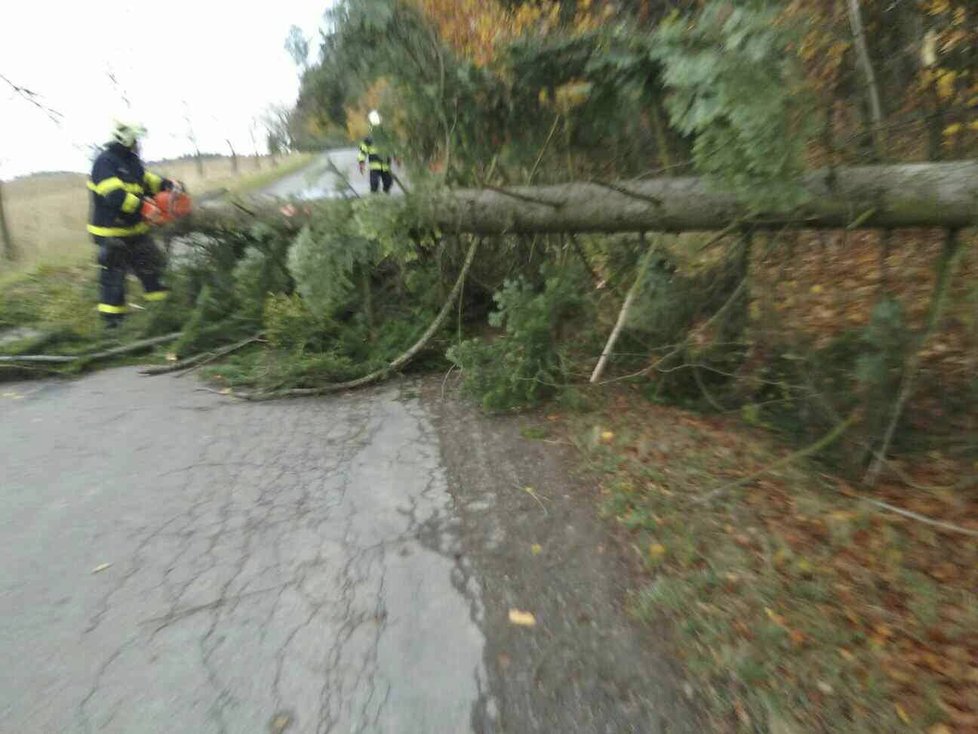 Vichřice na jižní Moravě