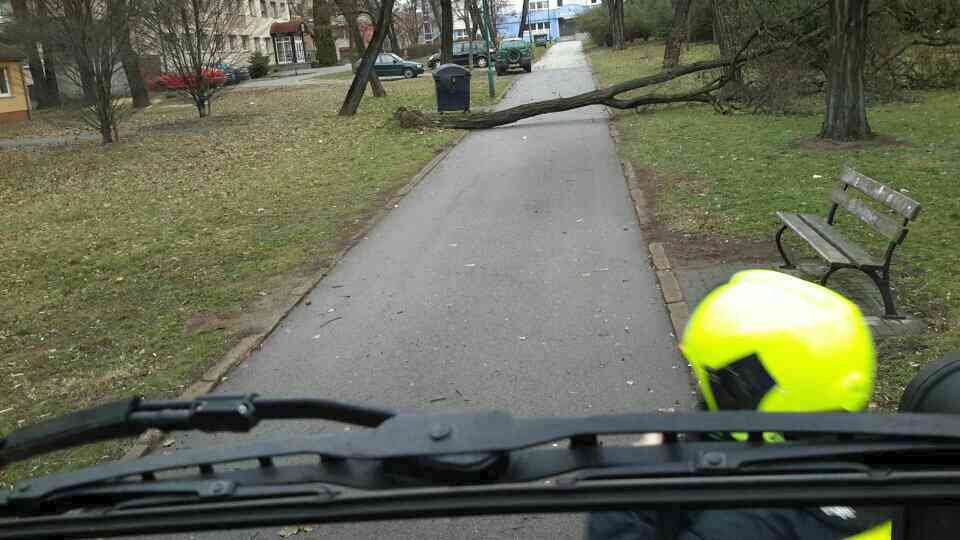 Hasiči vyjížděli nejčastěji kvůli popadaným stromům.