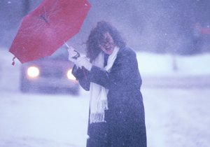 Čechy a Moravu čeká v pátek velmi silný vítr, varují meteorologové.