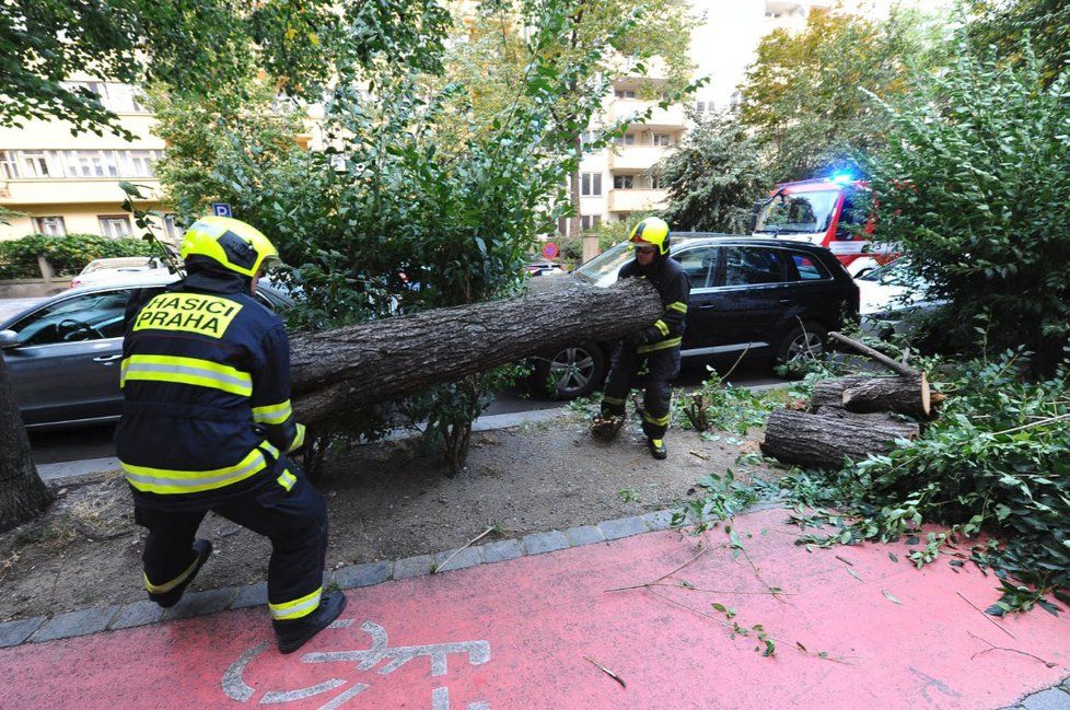 Hasiči zasahovali 30. září 2019 v Ovenecké ulici v Praze, na auto tam vlivem silného větru spadl strom.