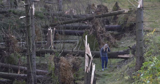 Vichřice poničila státním Lesům ČR asi milion kubíků dřeva. (prosinec 2017)