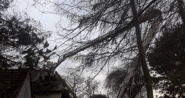 Vichřice v Česku: K popadaným stromům vyjížděli i hasiči v Moravskoslezském kraji (30. 1. 2022)