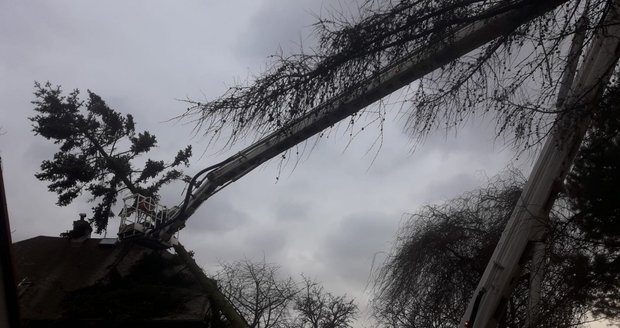 Vichřice v Česku: K popadaným stromům vyjížděli i hasiči v Moravskoslezském kraji (30. 1. 2022).
