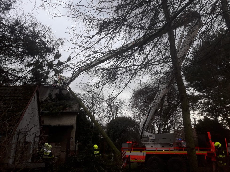 Vichřice v Česku: K popadaným stromům vyjížděli i hasiči v Moravskoslezském kraji (30.1.2022)
