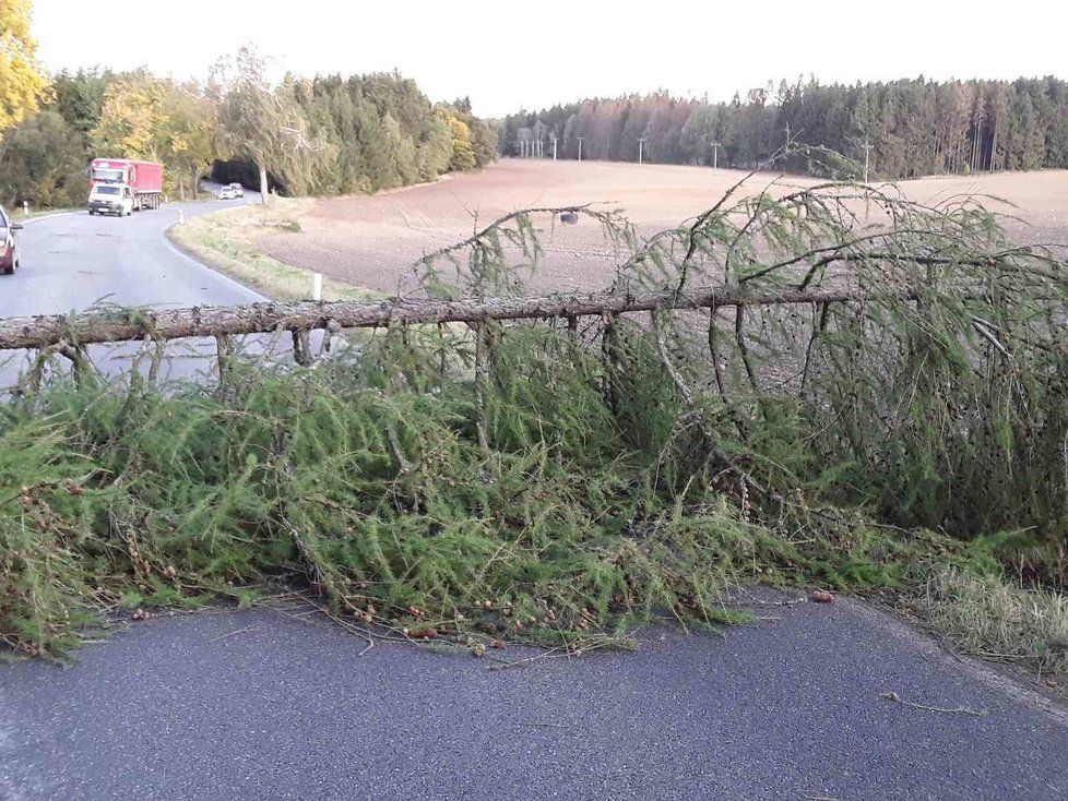 Vichřice poničila státním Lesům ČR asi 300 000 kubíků dřeva