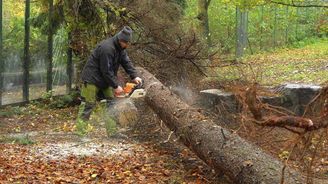 Lesy České republiky značně zvedly odhad škod napáchaných vichřicí