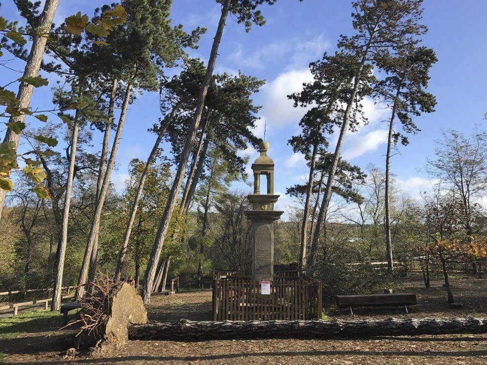 Vichřice Herwart řádila i v pražské zoologické zahradě.