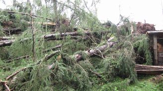 Páteční větrná bouře připravila Lesy ČR o 16 milionů korun