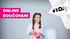 Nezvládá vaše dítě online výuku? Vědecký park v Brně nabízí doučování za 250 Kč na hodinu