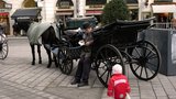 Český chlapec (5) vypadl ve Vídni z kočáru! Rozdrtilo ho kolo, selhaly mu plíce