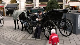 Pětiletého českého chlapce přejel ve Vídni kočár, ze kterého vypadl - ilustrační foto.