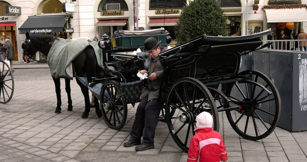 Pětiletého českého chlapce přejel ve Vídni kočár, ze kterého vypadl. (ilustrační foto)