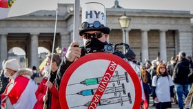 Ve Vídni demonstrují odpůrci protiepidemických opatření (20. 11. 2021)