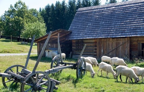 Další horký víkend? Zkuste nový vodní svět, Království železnic, chladné podzemí i stezky v horách