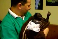 Takhle bojuje o život gorilka Tano, kterou odmítla máma