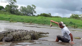 Nebezpečná situace: Průvodce se před krokodýlem propadl do bahna