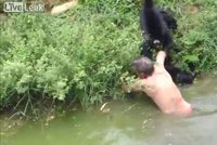 Tohle není veselá opice: Opilce krutě napadly zvířata v zoo