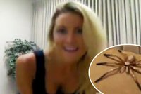 Přítelkyně k nezaplacení: Partnera vystrašila obřím pavoukem