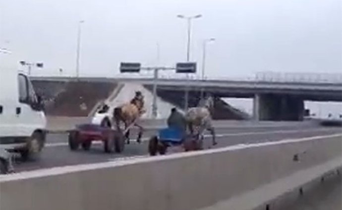 Video: Ilegální závod koní zablokoval provoz na rumunské dálnici