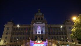 Národní muzeum rozzářilo srdce! Videomapping jako unikátní poděkování lidem za vzájemnou pomoc