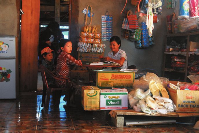 Rýže, nudle, trocha kosmetiky a sušenek, sladká limonáda, zelenina a tužkové baterky - takový obchod je ve Vietnamu nejčastější podnikání.