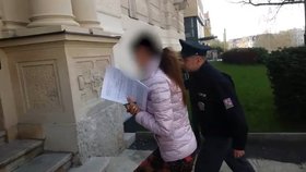 Vietnamku zadrželi policisté pro vraždu jejího manžela, je ve vazbě.