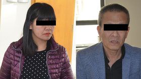 Vietnamka Thi Ly N. (43) pronáselduje svého bývalého přítele a jeho novou přítelkyni. Případ řeší soud.