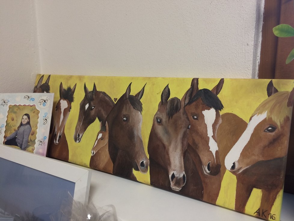 Starostovu kancelář mimo jiné zdobí obrazy, které mu namalovala dcera. Na hromadném portrétu svému tatínkovi namalovala jeho oblíbené koně, mezi kterými nechybí známá jména - Chalco, Vronský, Taro nebo Garibaldi.