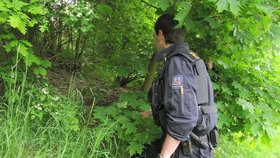 Policisté pátrali po Viktoru Mikovi v lesích kolem Radomyšle.
