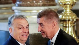 Český premiér Andrej Babiš s maďarským premiérem Viktorem Orbánem během summitu zemí Visegrádské skupiny (V4) a Rakouska v Národním muzeu v Praze. (16. 1. 2020)