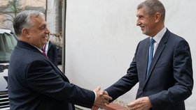Andrej Babiš a Viktor Orbán