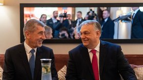 Andrej Babiš a Viktor Orbán