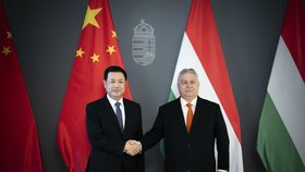 Viktor Orbán a čínský ministr pro veřejnou bezpečnost Wang Siao-chung v Maďarsku (únor 2024).